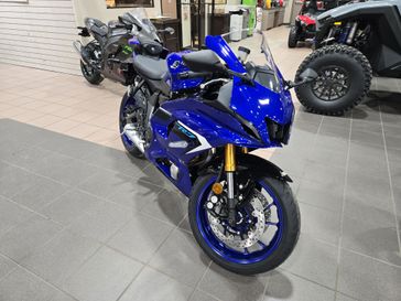 2025 Yamaha YZFR7 TEAM BLUE 