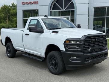 Bright White Clear Coat