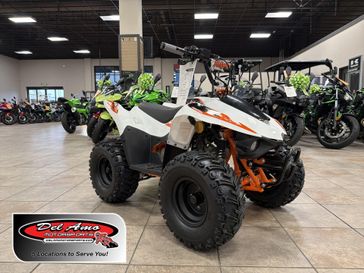 New 2026 Kayo STORM 70 