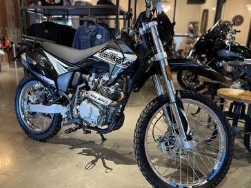 New 2025 TrailMaster T5 - 250 