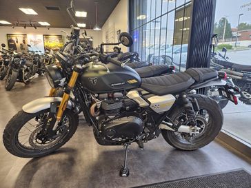 2026 Triumph Scrambler 900