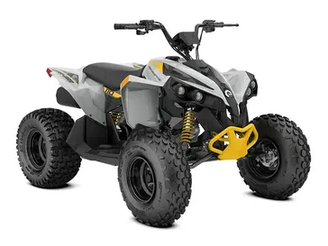 2024 Can-Am RENEGADE 110 EFI 