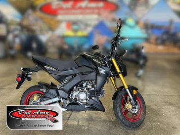 2021 Kawasaki Z125 PRO 
