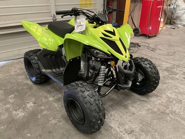 New 2026 Yamaha Raptor 110 