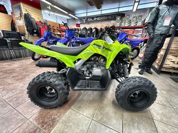 New 2026 Yamaha Raptor 110 