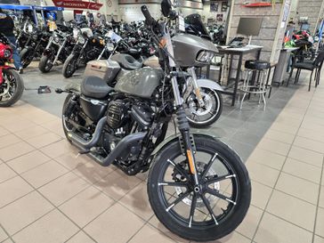 USED 2019 HARLEY SPORTSTER IRON 883 