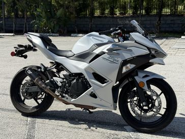 2025 Kawasaki Ninja 500 KRT Edition