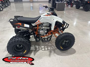 New 2027 Kayo STORM 300 
