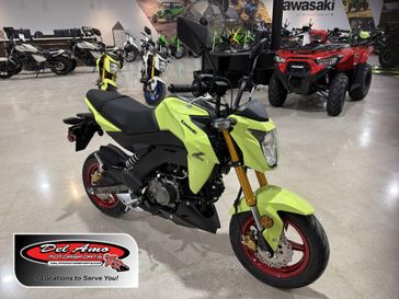 New 2026 Kawasaki Z125 PRO 