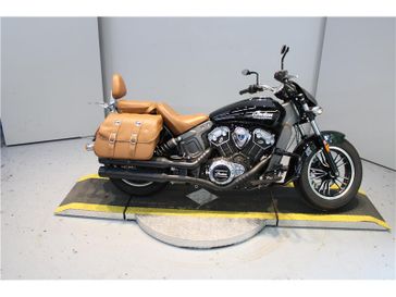Used 2019 Indian Motorcycle Scout 