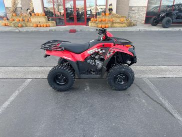 2026 Kawasaki Brute Force 300