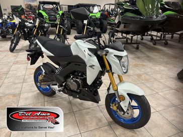 New 2026 Kawasaki Z125 PRO 