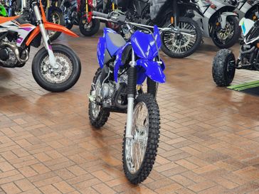 2025 Yamaha TT-R125LE 