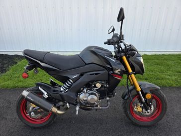 2021 Kawasaki Z125 PRO 