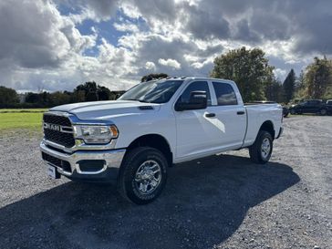 Bright White Clear Coat