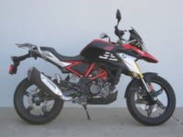 2024 BMW G 310 GS