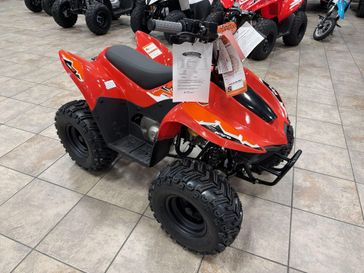 New 2026 Kayo STORM 70 