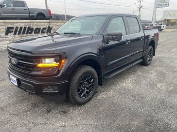 New 2025 Ford F-150 XLT