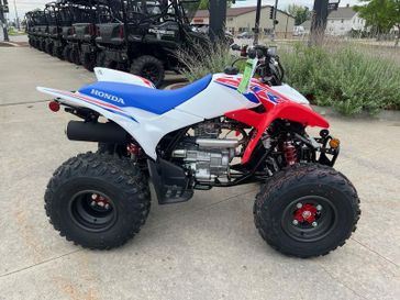 New 2025 HONDA-ATV TRX250XS 