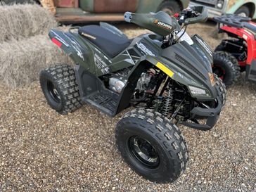 New 2026 Denago Powersports TRAILHAWK 10 FI 