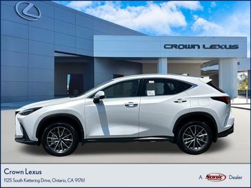 2025 Lexus NX 350h Premium