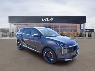Panthera Metal Gray