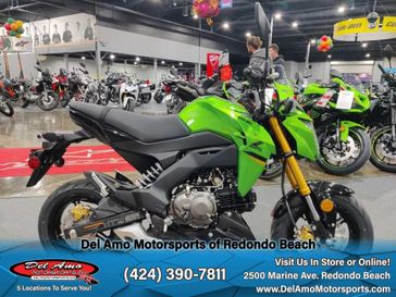 2024 Kawasaki Z125 PRO