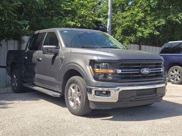 Used 2025 Ford F-150 XLT
