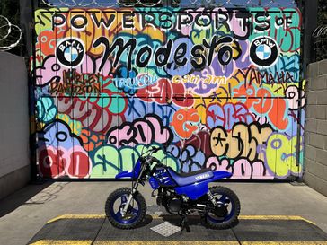 Team Yamaha Blue
