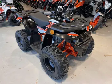 NEW 2026 KAYO BULL 110 