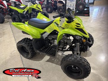 New 2026 Yamaha RAPTOR 110 