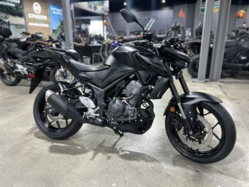 2025 Yamaha MT-03 