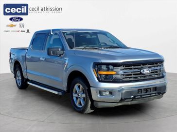 Used 2025 Ford F-150 XLT