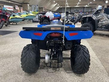 New 2025 Polaris SPORTSMAN 110 EFI 