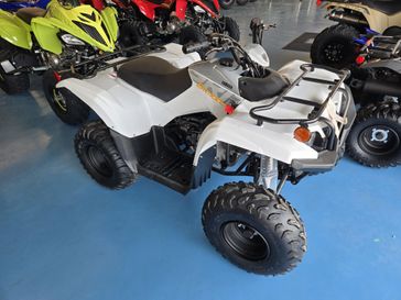 2024 Yamaha GRIZZLY 90 WHITE AND ARMOR GRAY 