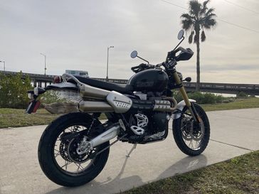 2024 Triumph SCRAMBLER 1200 XE  in a PHANTOM BLACK exterior color. Euro Cycles of Daytona 386-257-2269 eurocyclesofdaytona.com 