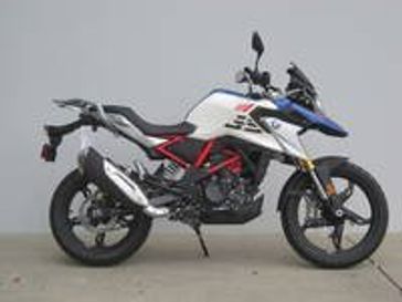 2024 BMW G 310 GS