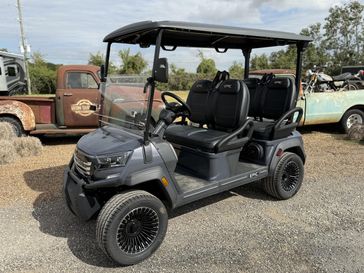 New 2025 EPIC Golf Carts EPIC E40FX 
