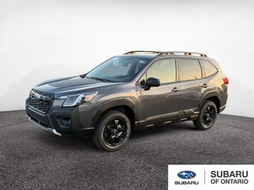 2025 Subaru Forester Wilderness