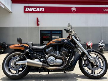 Used 2014 HARLEY VROD MUSCLE 