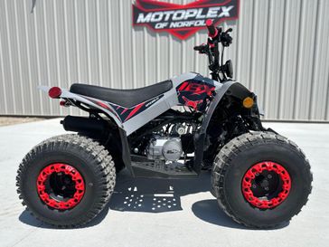 New 2026 Ice Bear Powersports GRZ125-D 