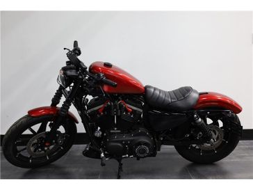 2019 Harley-Davidson Sportster in a Burgandy exterior color. New England Powersports 978 338-8990 pixelmotiondemo.com 