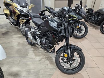 NEW 2026 HONDA CB300R ABS 