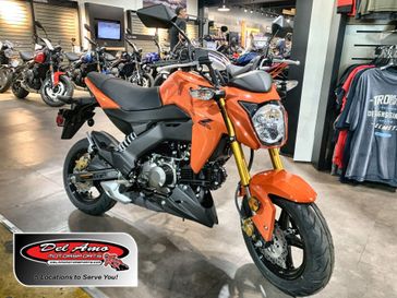 New 2025 Kawasaki Z125 PRO 