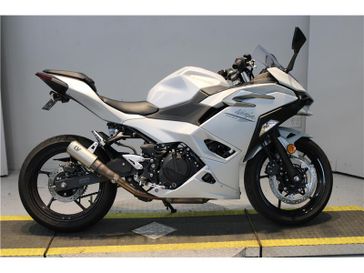 2025 Kawasaki Ninja 500