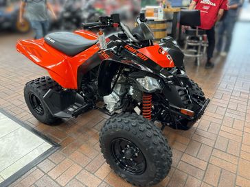 New 2026 Can-Am DS 2X4 250-4ST 