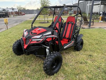 New 2025 TrailMaster Cheetah 8 