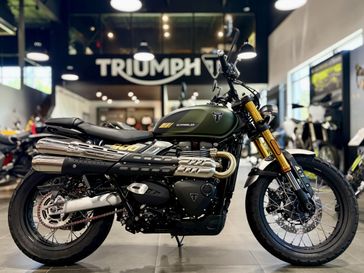 New 2026 Triumph Scrambler 900 