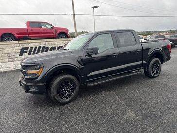 New 2025 Ford F-150 XLT