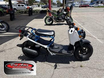 Used 2023 Honda RUCKUS Base 